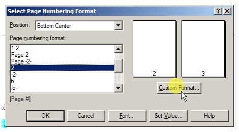 Create a custom numeric format